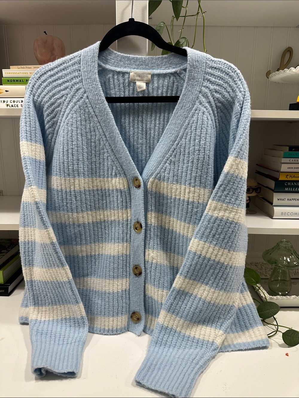 Caslon Blue and Cream Striped V-Neck Cardigan